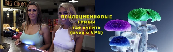 таблы Новодвинск