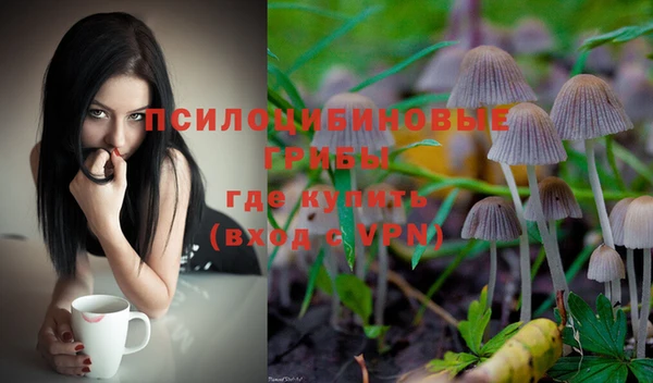 молекула духа Нефтекумск