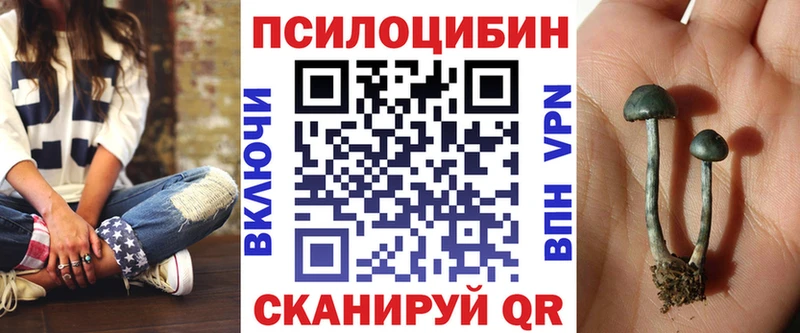 закладки  Кочубеевское  мега онион  Псилоцибиновые грибы GOLDEN TEACHER 