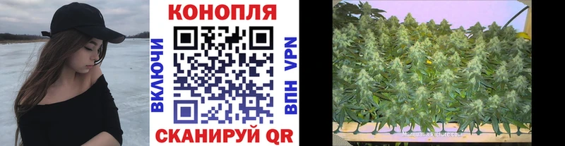 МАРИХУАНА гибрид  купить   KRAKEN   Кочубеевское 